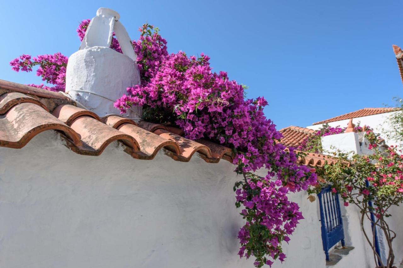 Villea Seaview Apartments Skopelos Dış mekan fotoğraf